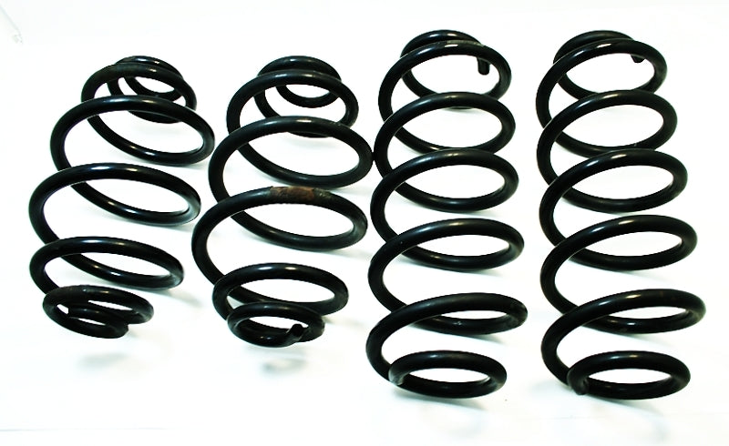 Coil Spring Supsension Set VW Passat 98-05 B5 B5.5 FWD - Genuine Stock