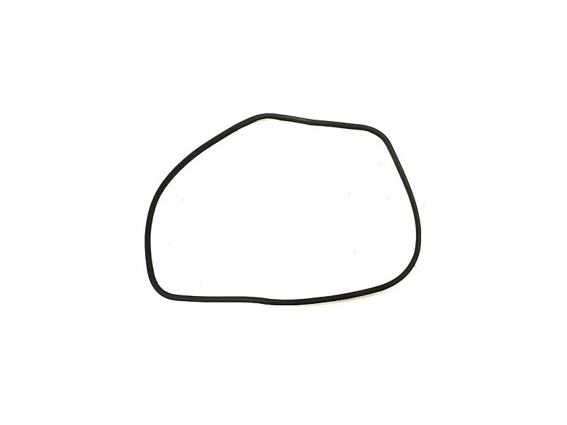 Rear Door Seal Weatherstripping 05-10 VW Jetta Rabbit MK5 - Genuine