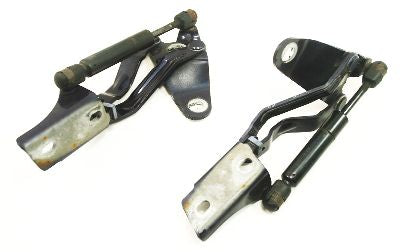 Trunk Hinges & Struts Batik Blue 95-02 VW Cabrio - Genuine - 1E0 827 301 & 302