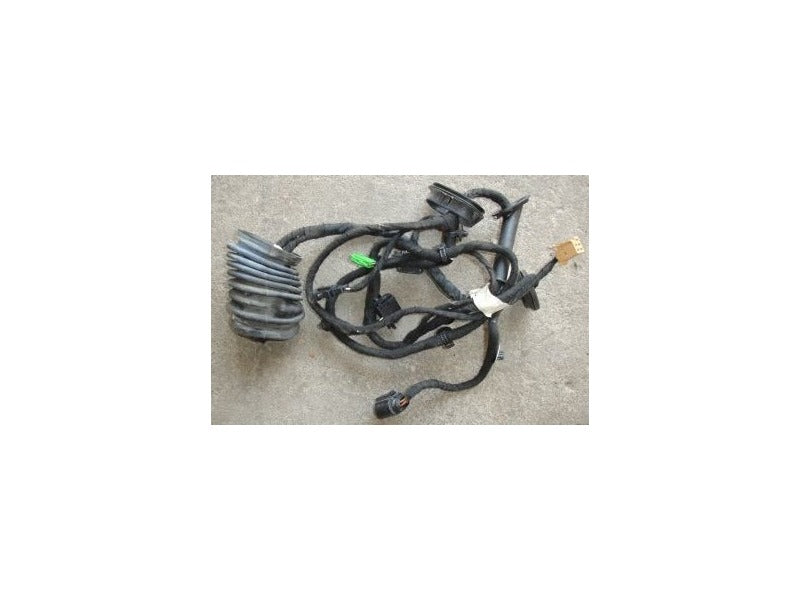 RH Front Door Wiring 99-05 VW Jetta Golf Mk4 Manual Windows - Genuine