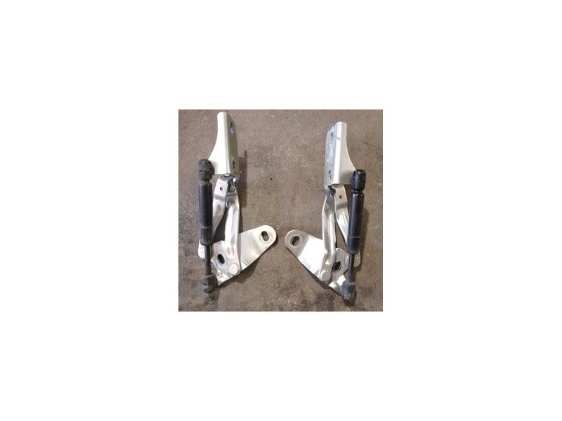 Trunk Hinges Shocks 95-02 VW Cabrio Mk3 Silver - Genuine