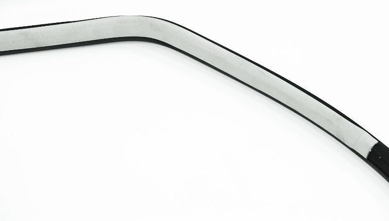 RH Rear Door Seal Weather Stripping Trim 01.5-05 VW Passat B5.5 - Gray - Genuine