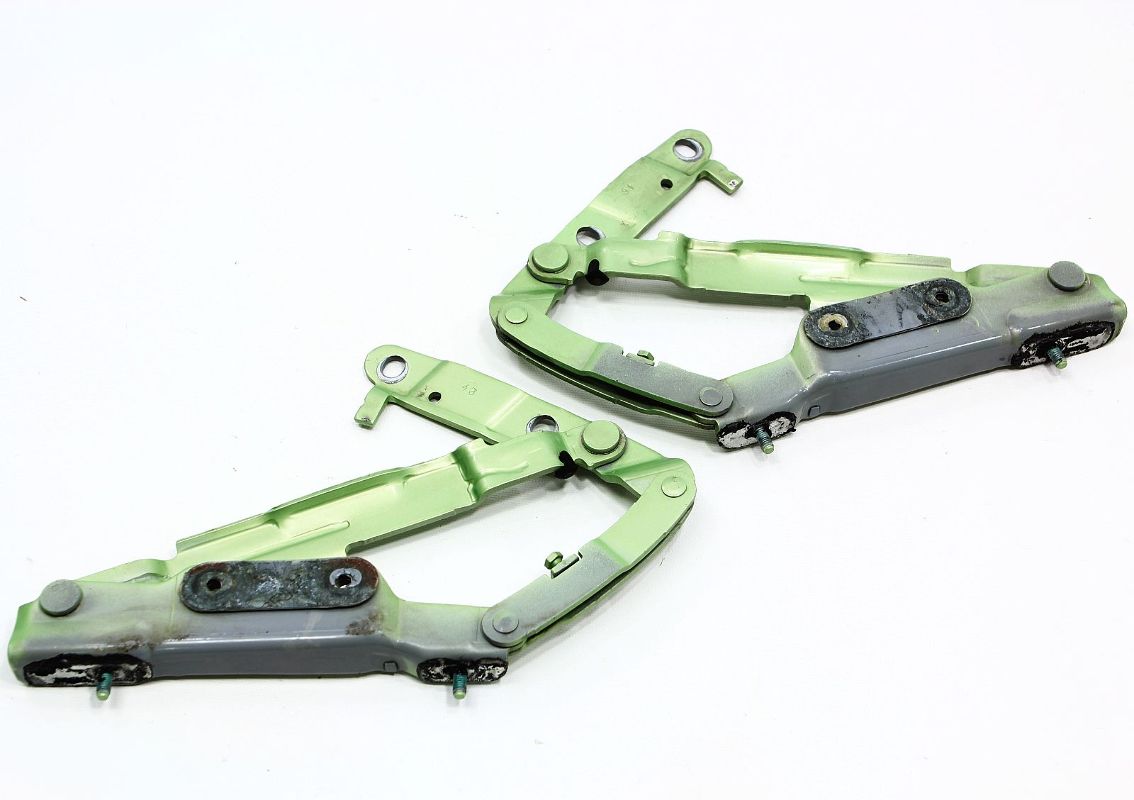 Trunk Hatch Hinges Pair 98-05 VW Beetle - LG6V Cyber Green - 1C0 827 301 /302 D