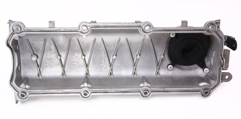Aluminum Valve Cover VW Jetta Golf MK4 Beetle 2.0 AZG BEV BBW ~ 06A 103 475 AP