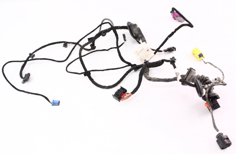 RH Front Door Wiring Harness 06-10 VW Passat B6 - Genuine - 3C1 971 121 AB