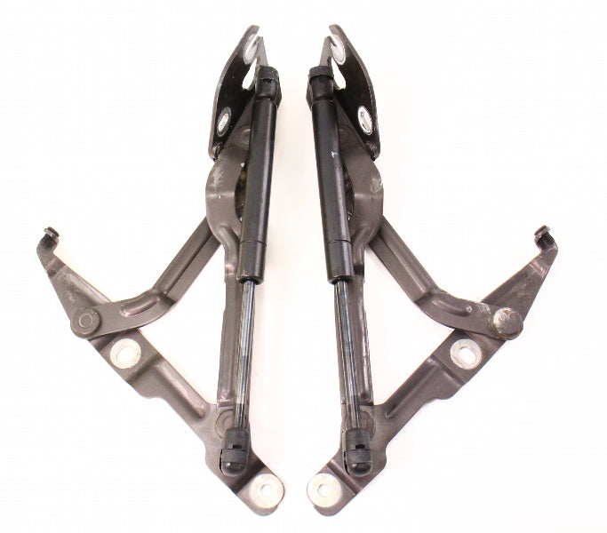 Trunk Hinges & Struts Shocks 96-02 Audi A4 S4 B5 - LZ8P - 8D5 827 301 C / 302 C