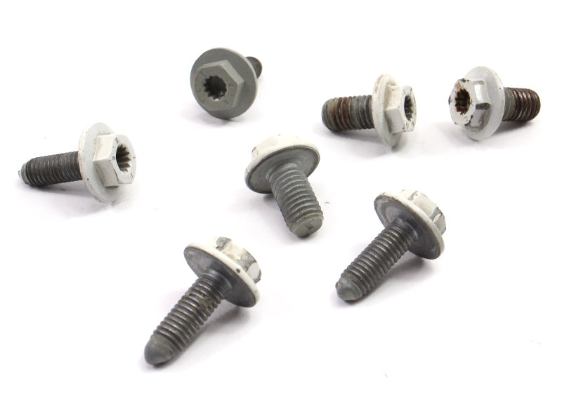 Rear Door Hinge Bolts Hardware 05-10 VW Jetta Sportwagen Golf Rabbit GTI MK5