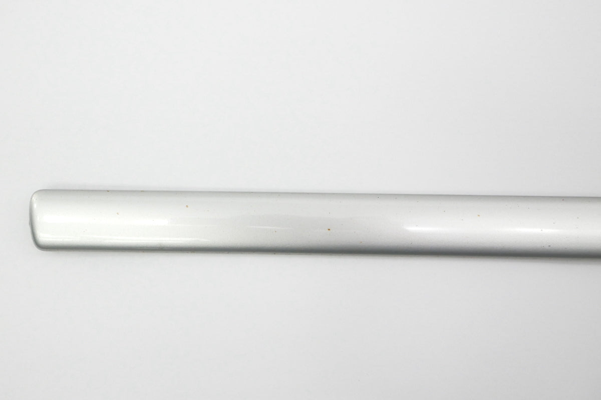 LH Front Door Molding Strip Trim 99-03 VW Jetta Golf MK4 Silver - 1J4 853 515 B