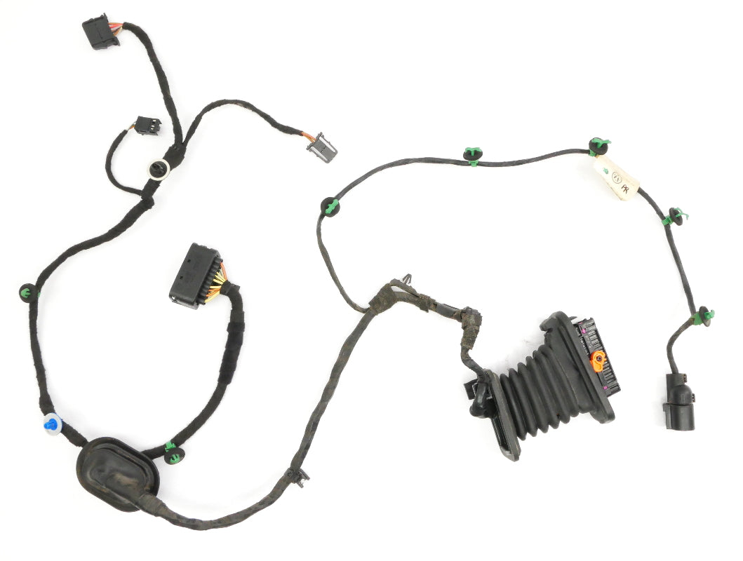 RH Rear Door Wiring Harness 06-09 VW Rabbit GTI Mk5 4 DR Genuine 1K4 971 694 BL