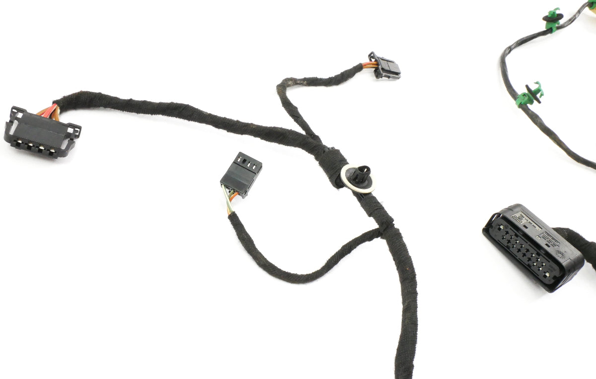 RH Rear Door Wiring Harness 06-09 VW Rabbit GTI Mk5 4 DR Genuine 1K4 971 694 BL