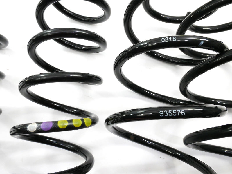 Stock Suspension Coil Spring Set 06-10 VW Passat B6 2.0T - Genuine