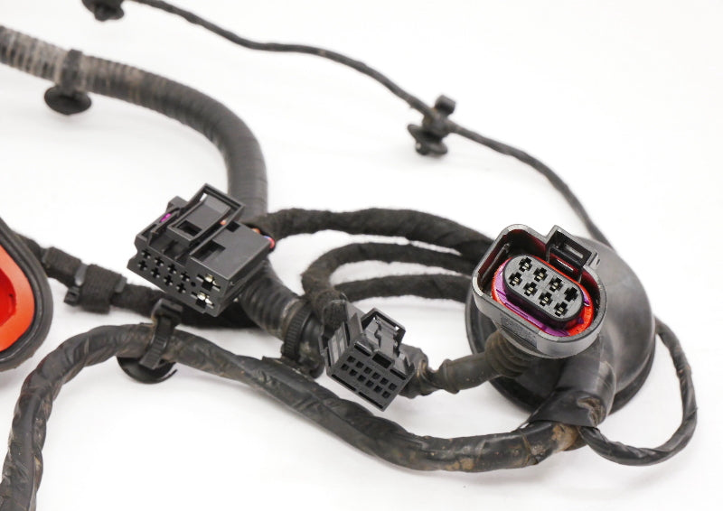 RH Door Wiring Harness 03-09 Audi A4 S4 B6 B7 Convertible - 8H1 971 029 AD