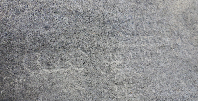 Rear Fender Liner Well Splash Shield 08-15 Audi TT - 8J0 810 171 D / 172 D