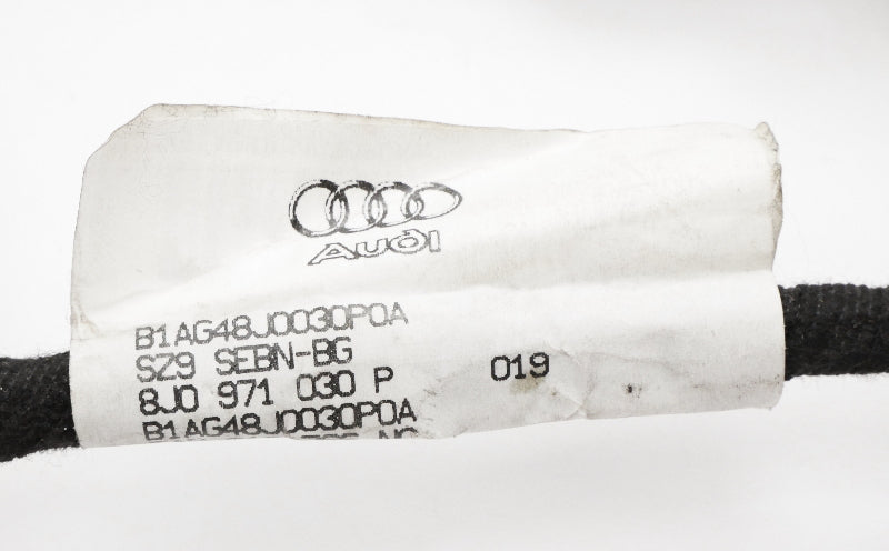 RH Front Door Wiring Harness 08-15 Audi TT Coupe & Convertible - 8J0 971 030 P