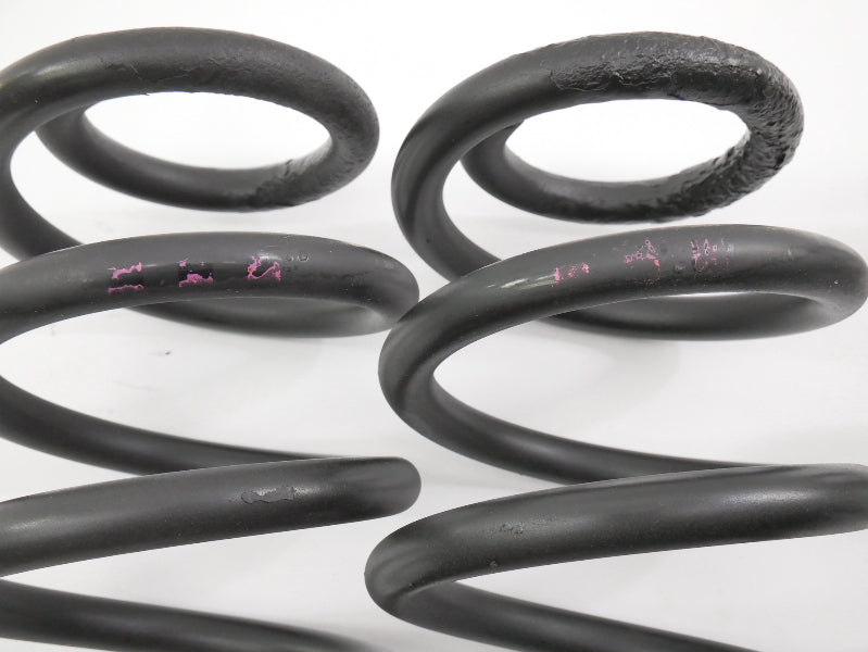 Suspension Coil Spring Set 98-05 VW Passat B5 B5.5 V6 4motion Stock ~ Genuine ~