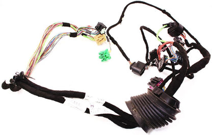 RH Front Door Wiring Harness 02-04 Audi A6 S6 RS6 C5 Allroad - 4C0 971 029 D