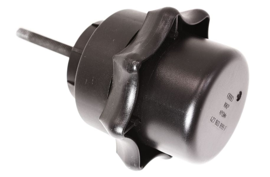 Spare Tire Hold Down Nut  Bolt 01-05 Audi Allroad - Genuine - 4Z7 803 899 F