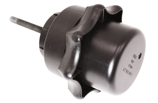 Spare Tire Hold Down Nut  Bolt 01-05 Audi Allroad - Genuine - 4Z7 803 899 F