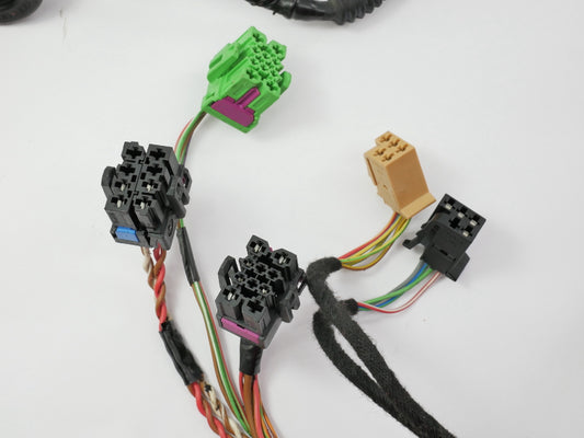 RH Front Door Wiring Harness Monsoon 98-05 VW Passat B5 Genuine - 3B0 971 121 AF