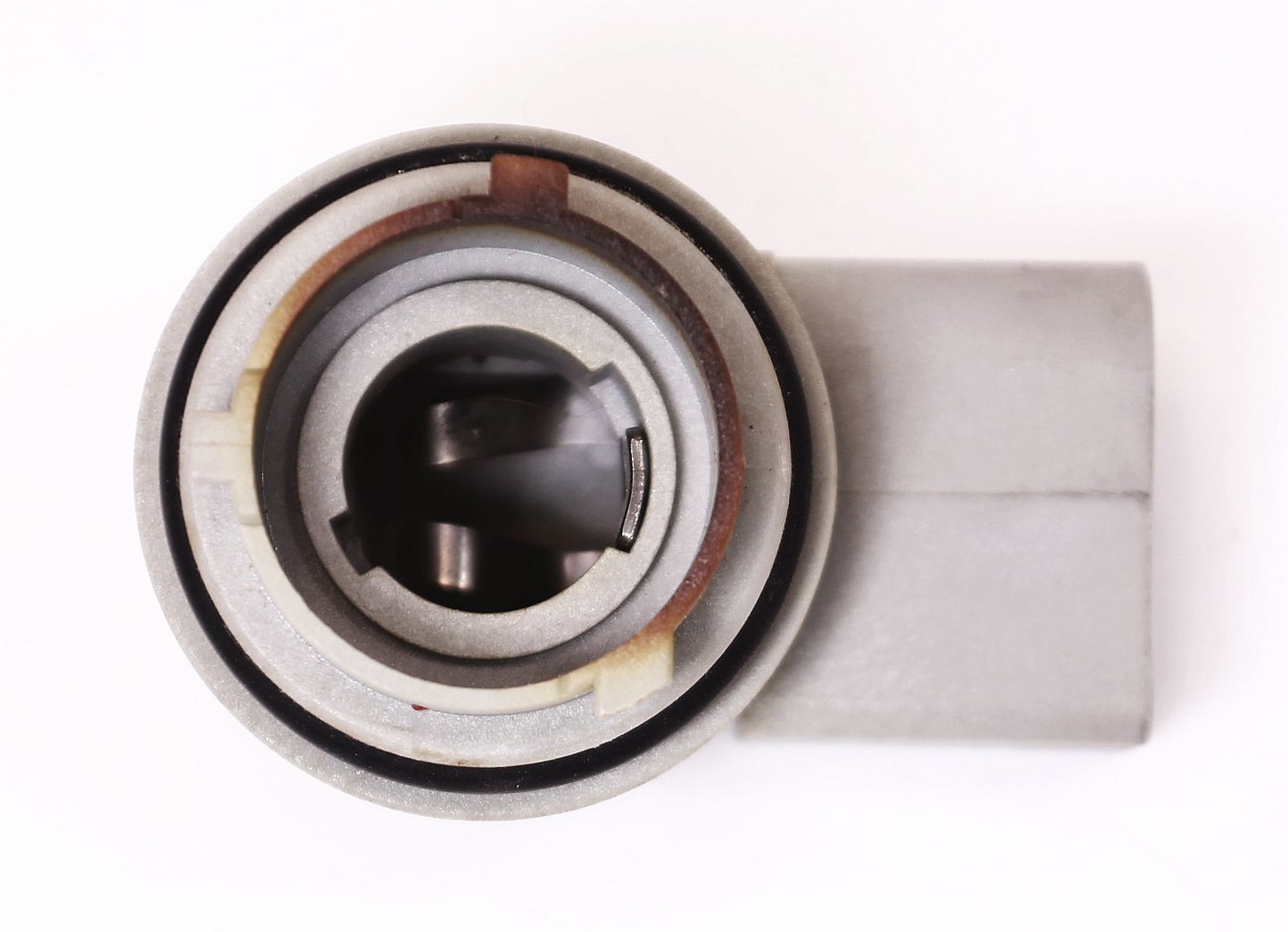 Taillight Bulb Socket 98-05 VW Beetle - Tail Light Lamp Holder - Genuine