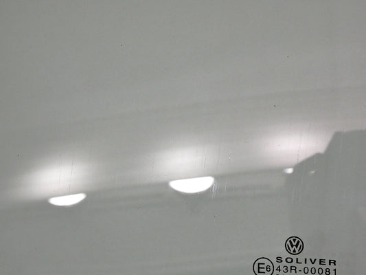 LH Rear Door Window Side Exterior Glass 98-05 VW Passat Wagon B5 B5.5 - Genuine