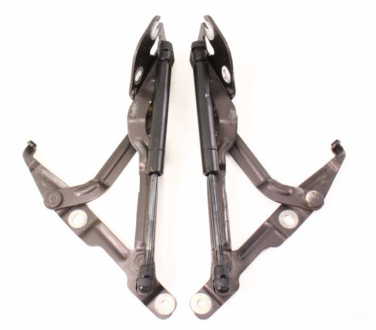 Trunk Hinges & Struts Shocks 96-02 Audi A4 S4 B5 - LZ8P - 8D5 827 301 C / 302 C