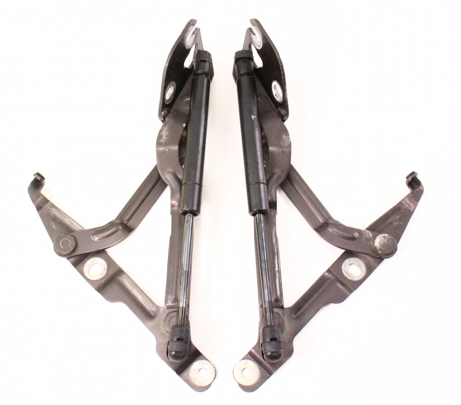 Trunk Hinges & Struts Shocks 96-02 Audi A4 S4 B5 - LZ8P - 8D5 827 301 C / 302 C