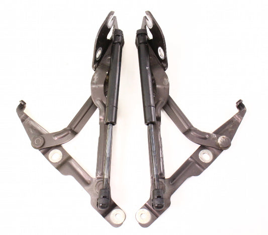 Trunk Hinges & Struts Shocks 96-02 Audi A4 S4 B5 - LZ8P - 8D5 827 301 C / 302 C