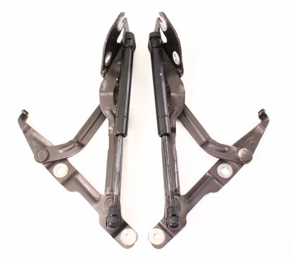 Trunk Hinges & Struts Shocks 96-02 Audi A4 S4 B5 - LZ8P - 8D5 827 301 C / 302 C