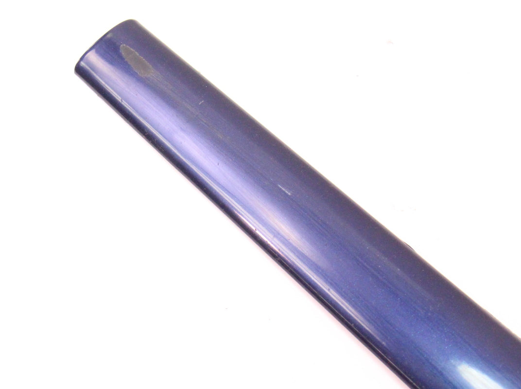 RH Front Door Molding Strip Trim 99-03 VW Jetta Golf MK4 LG5V Blue 1J4 853 516 G