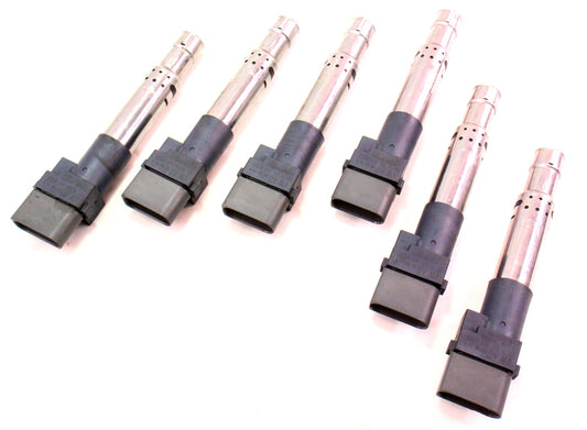 6x Ignition Coils 06-10 Passat B6 VR6 3.6 R32 Audi TT A3 Q7 3.2 - 022 905 715 B