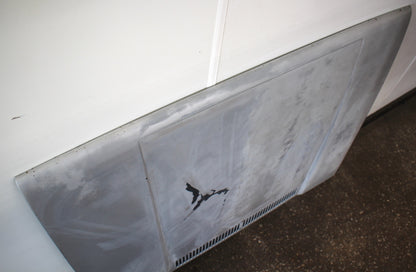 Hood 75-93 VW Rabbit GTI Truck Jetta Cabriolet MK1 - Local Pickup Only Iowa