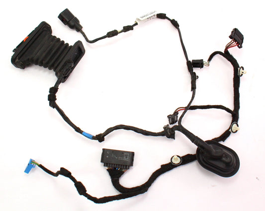 RH Rear Door Wiring Harness 09-14 VW Jetta Sportwagen MK5 MK6 - 1K9 971 694 AB