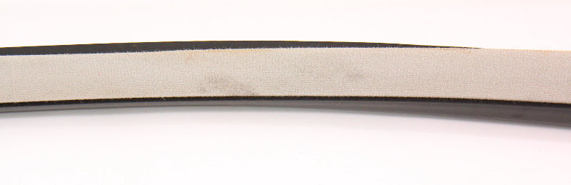 RH Front Door Seal Weather Stripping 99-05 VW Jetta Golf MK4 Gray - Genuine
