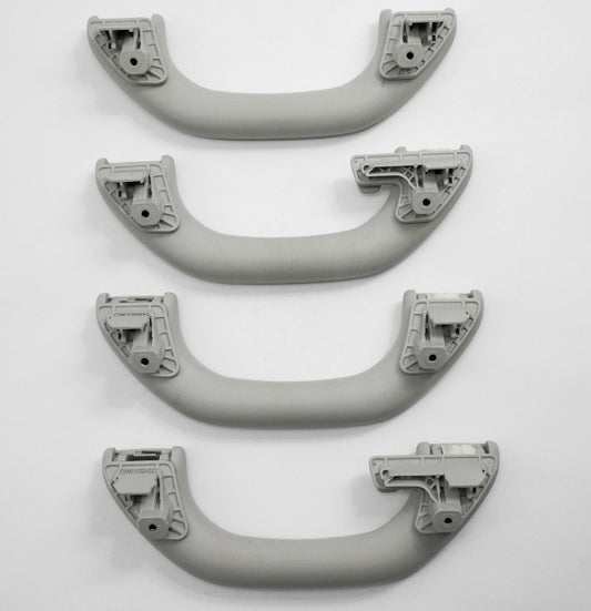 Upper Ceiling Headliner Grab Handle Set VW Jetta MK5 Passat B6 1K0 857 607 N