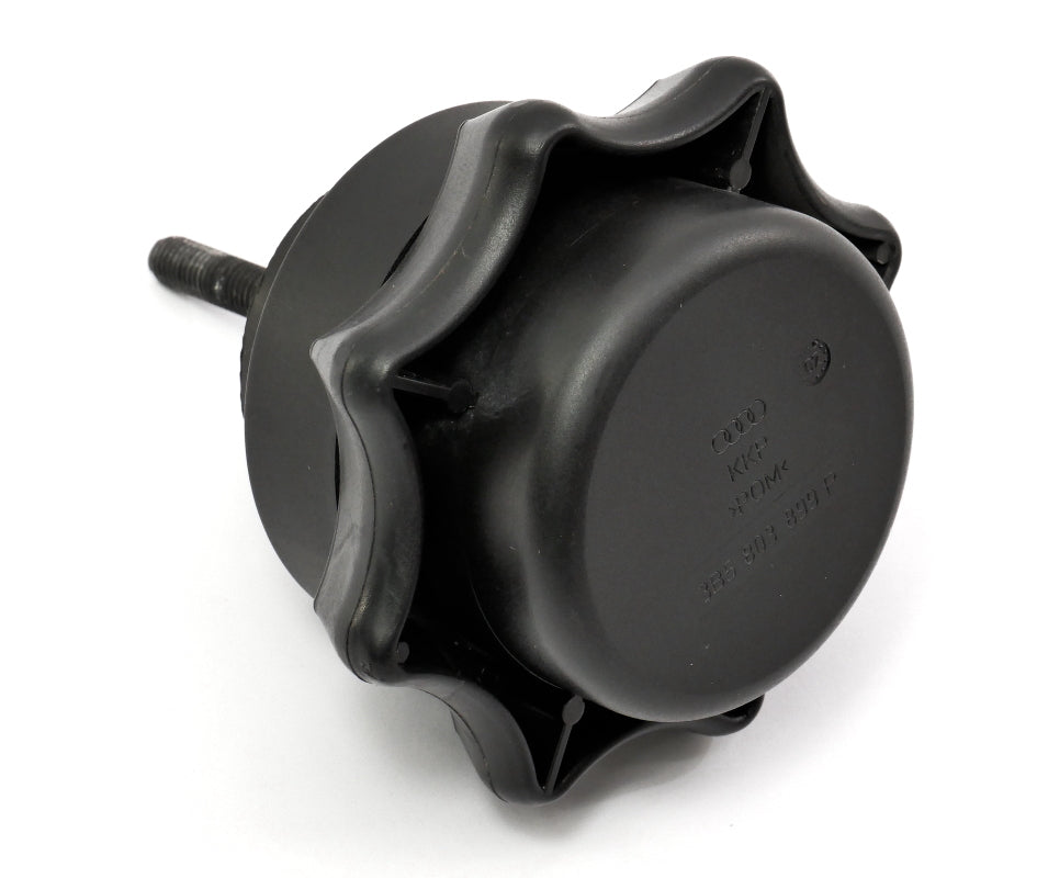 Spare Tire Wing Nut Hold Down Steel Wheel 98-05 VW Passat B5 - 3B5 803 899 P