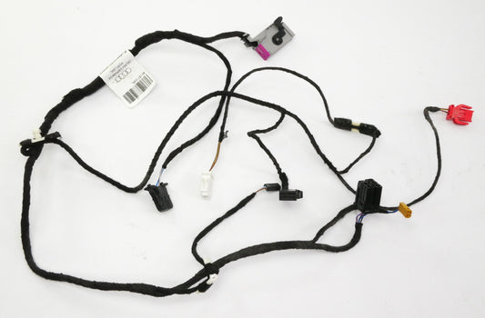 RH Front Door Panel Wiring Harness 02-05 Audi A4 S4 B6 - 8E1 971 035 L