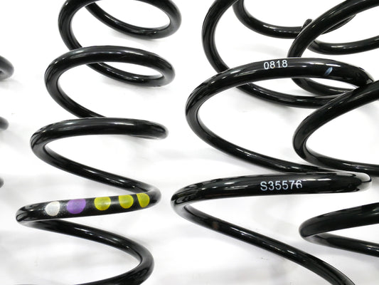 Stock Suspension Coil Spring Set 06-10 VW Passat B6 2.0T - Genuine