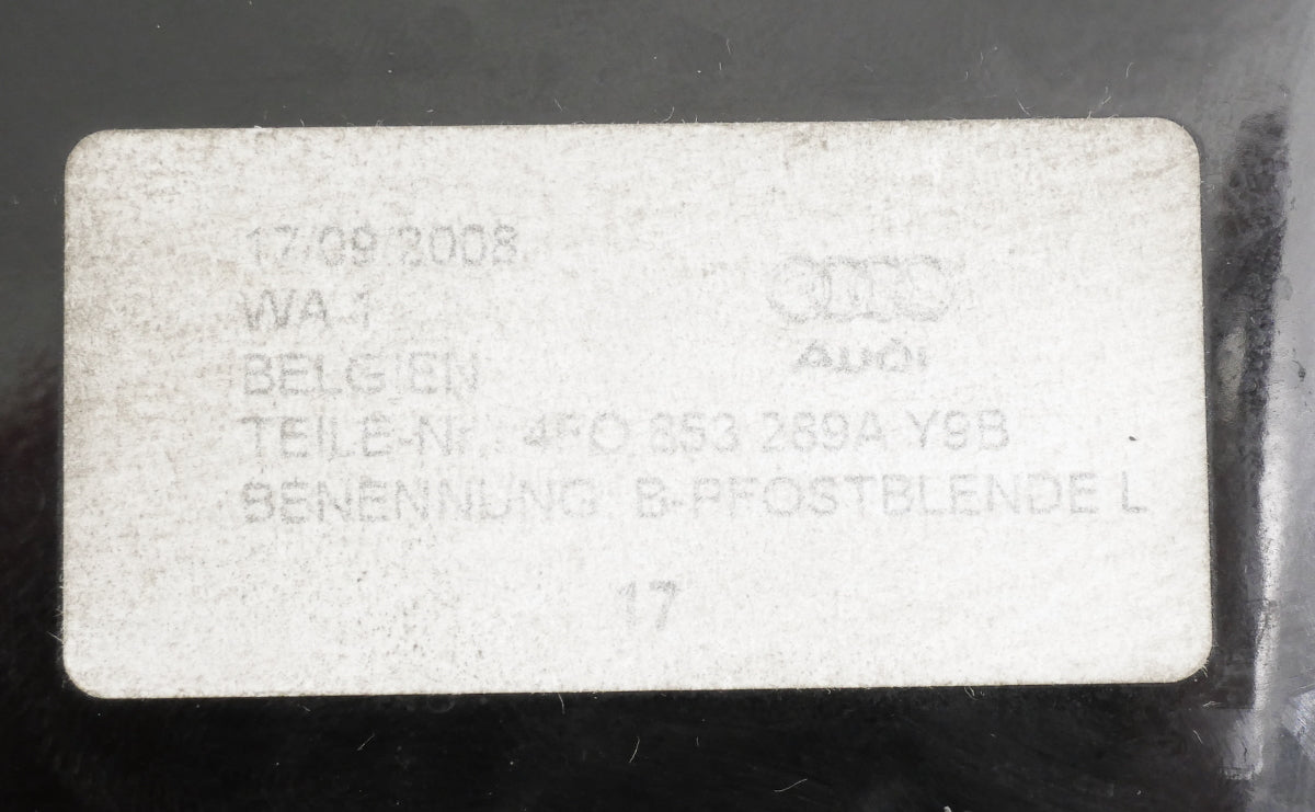 LH Exterior B Pillar Trim Between Doors / Windows 05-11 Audi A6 S6 4F0 853 289 A