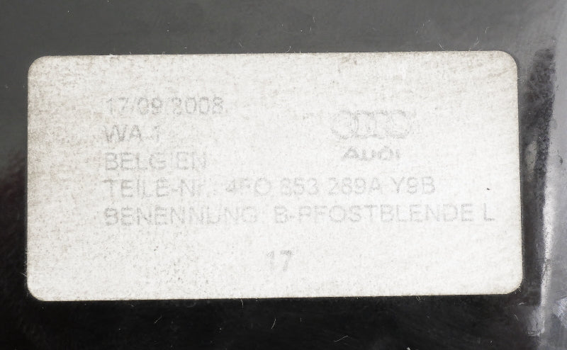 LH Exterior B Pillar Trim Between Doors / Windows 05-11 Audi A6 S6 4F0 853 289 A