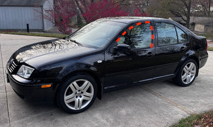 LH Front Door Window Molding Seal Trim 99-05 VW Jetta Golf 4dr MK4 - Genuine