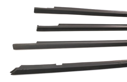 Exterior Door Window Seal Scraper Trim Molding Set 98-01 VW Passat B5 B5.5 - OEM