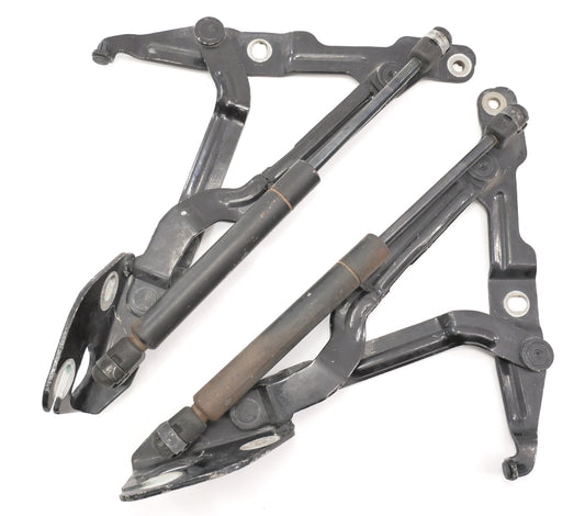 Trunk Hinges Shocks Struts 99-05 VW Jetta MK4 Passat B5.5 A4 OEM - 3B5 827 301 A