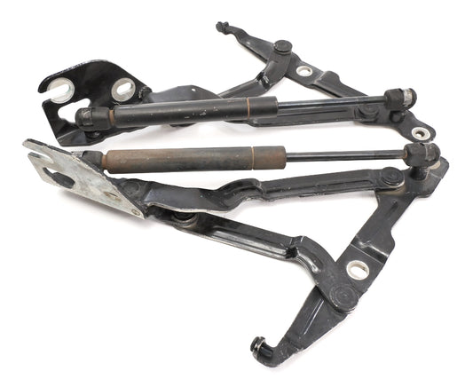 Trunk Hinges Shocks Struts 99-05 VW Jetta MK4 Passat B5.5 A4 OEM - 3B5 827 301 A