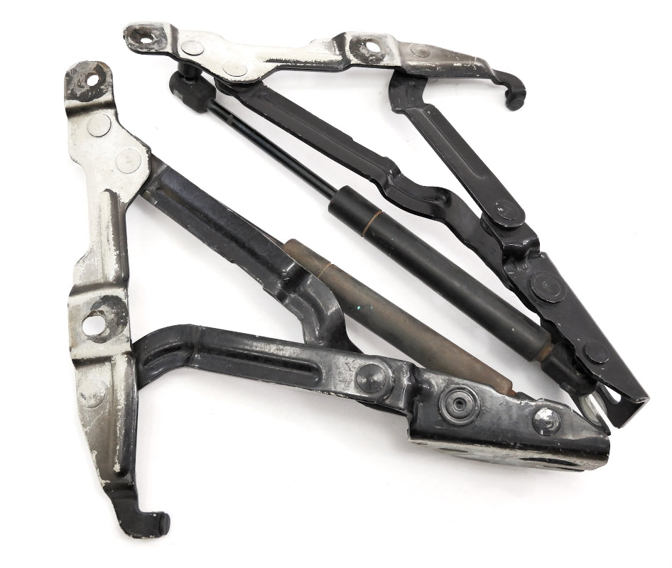 Trunk Hinges Shocks Struts 99-05 VW Jetta MK4 Passat B5.5 A4 OEM - 3B5 827 301 A