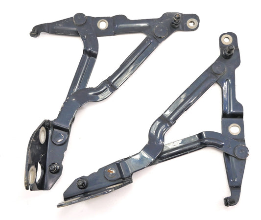 Trunk Hinges 99-05 VW Jetta MK4 Passat B5.5 Audi A4 B5 Blue OEM - 3B5 827 301 A