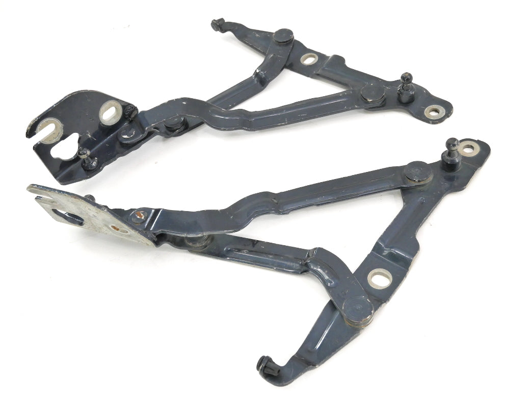 Trunk Hinges 99-05 VW Jetta MK4 Passat B5.5 Audi A4 B5 Blue OEM - 3B5 827 301 A