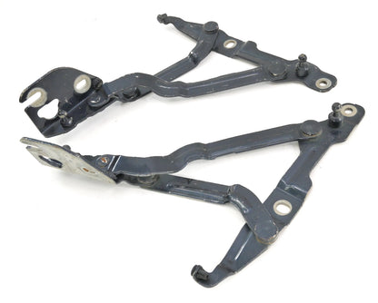 Trunk Hinges 99-05 VW Jetta MK4 Passat B5.5 Audi A4 B5 Blue OEM - 3B5 827 301 A