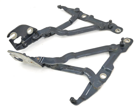 Trunk Hinges 99-05 VW Jetta MK4 Passat B5.5 Audi A4 B5 Blue OEM - 3B5 827 301 A