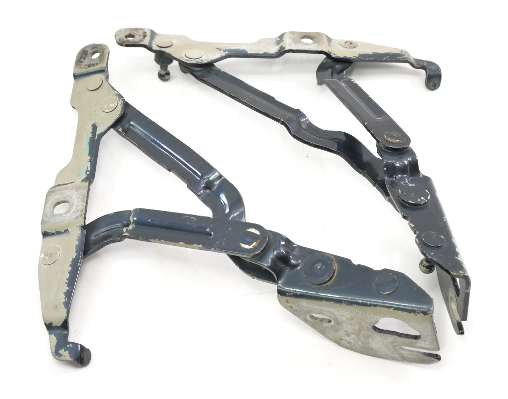 Trunk Hinges 99-05 VW Jetta MK4 Passat B5.5 Audi A4 B5 Blue OEM - 3B5 827 301 A